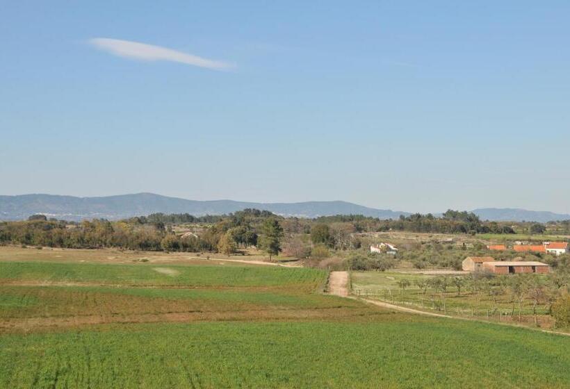 بنسيون Casa Da Lardosa