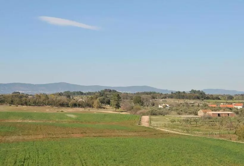 ペンション Casa Da Lardosa