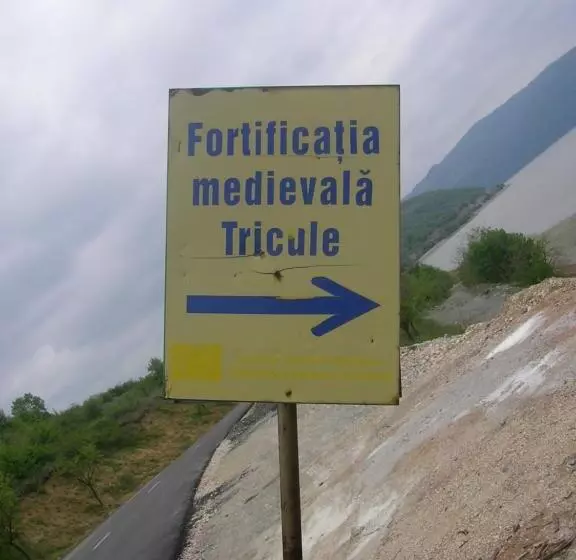 Majatalo Casa Sviniceană