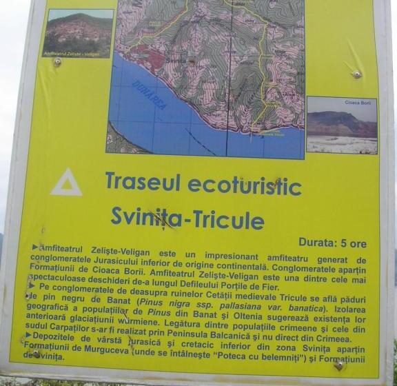 Пансион Casa Sviniceană