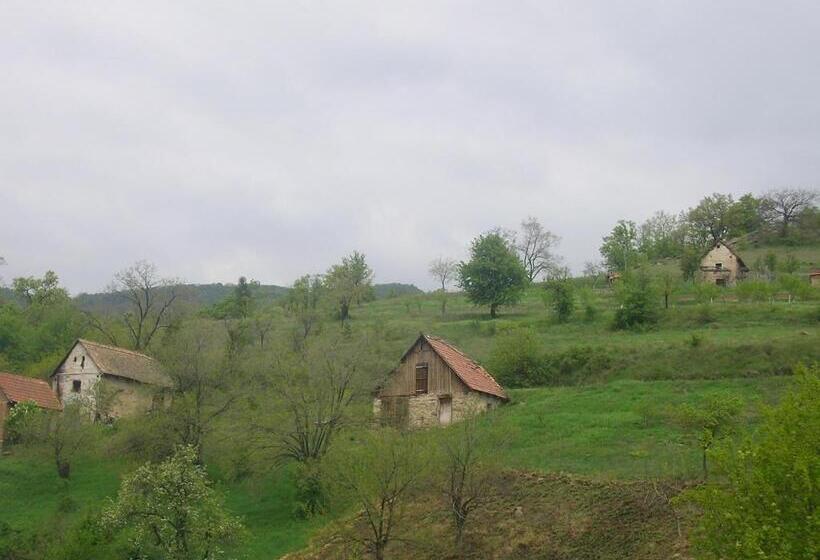 Пансион Casa Sviniceană