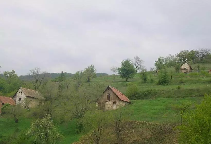 Majatalo Casa Sviniceană