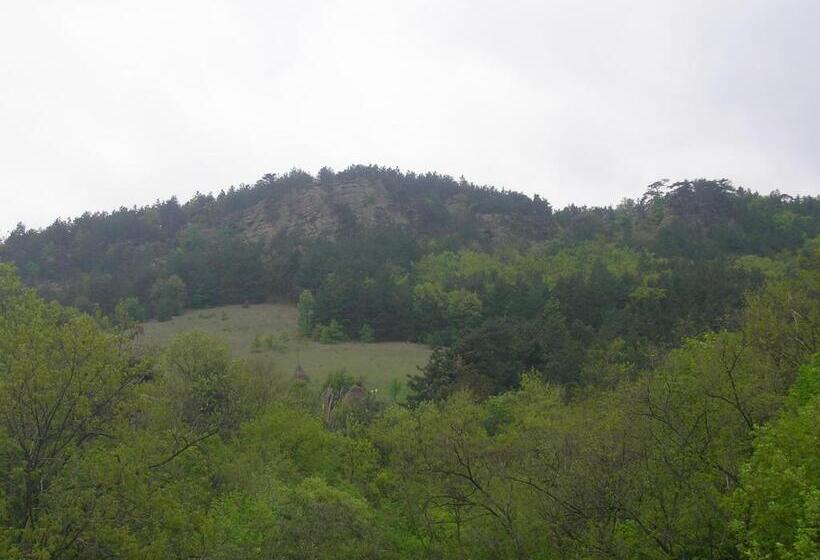 Пансион Casa Sviniceană