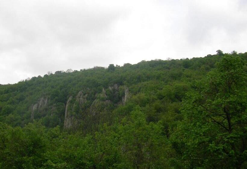 Пансион Casa Sviniceană