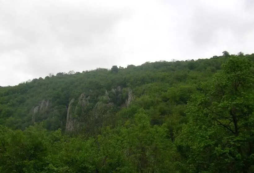 Majatalo Casa Sviniceană