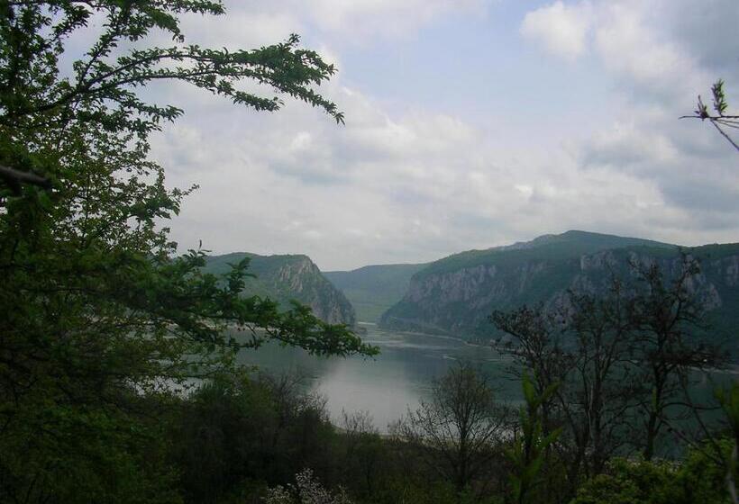 Пансион Casa Sviniceană