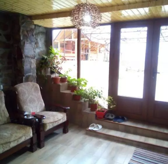 Majatalo Casa Sviniceană