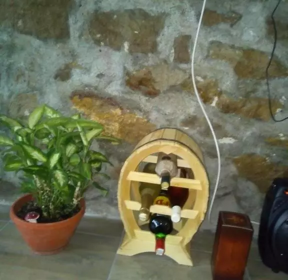 Majatalo Casa Sviniceană