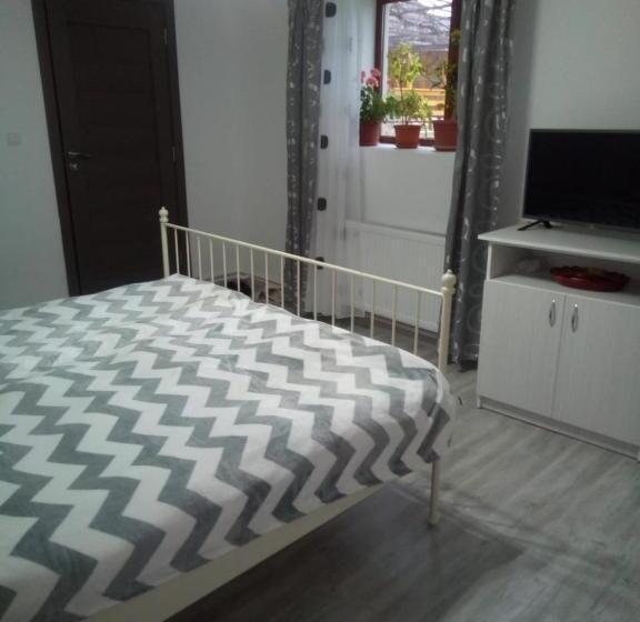 Пансион Casa Sviniceană