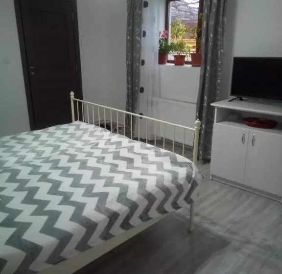 Majatalo Casa Sviniceană