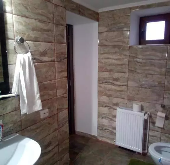 Majatalo Casa Sviniceană