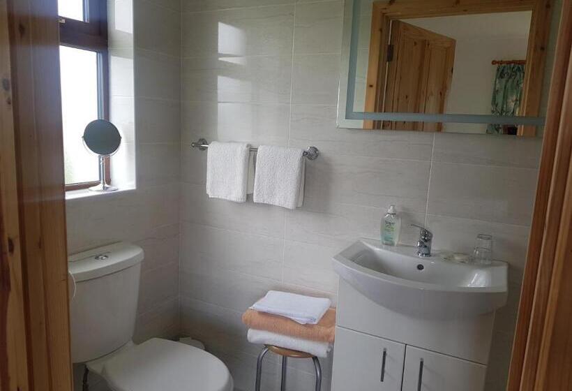 بنسيون Corrib View Lodge