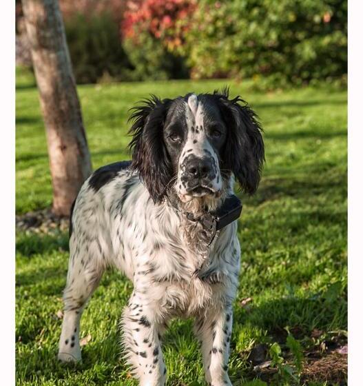 بنسيون Corrib View Lodge