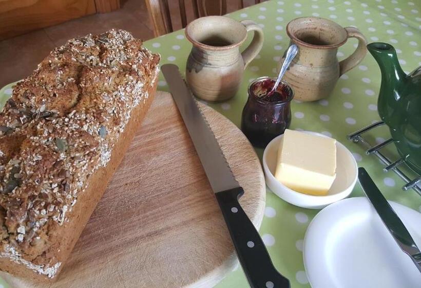 بنسيون Corrib View Lodge