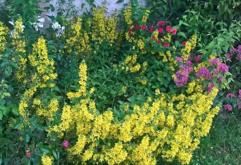 Majatalo Gîte Du Clos Sébastien