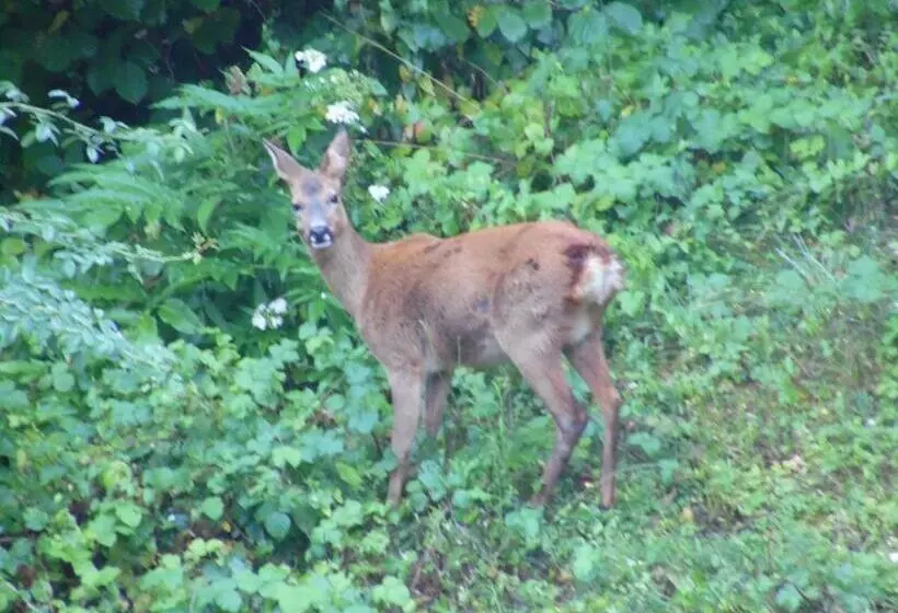 Majatalo Gîte Et Chambres D Hôtes Les Terrasses De Gaumier