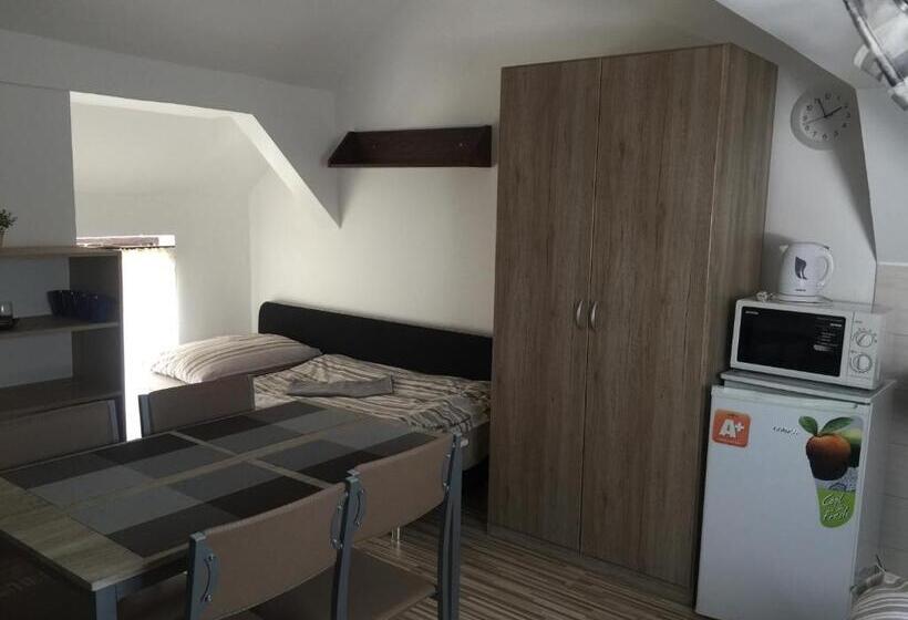 ペンション Guesthouse Zuzana