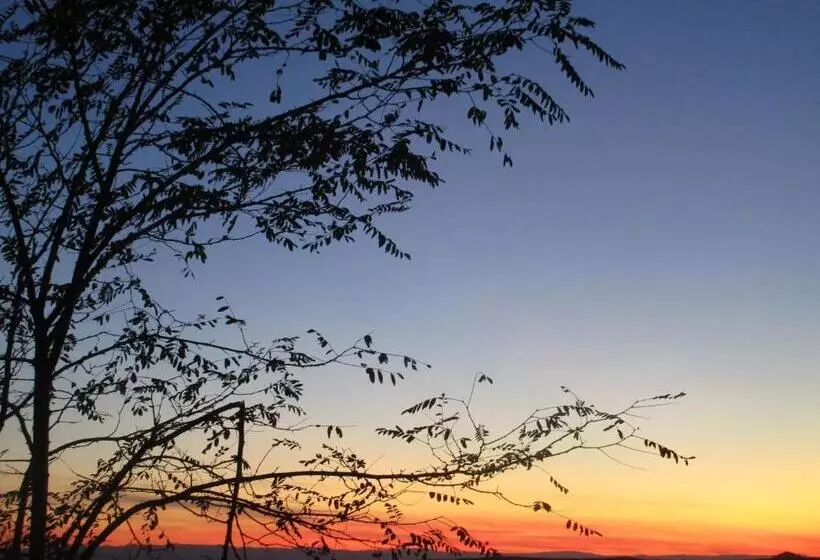 ペンション Lavender Lodge