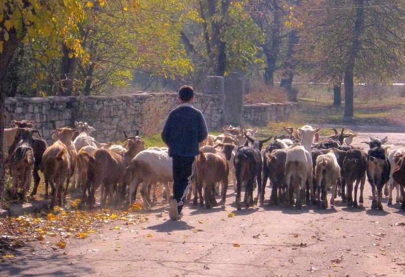 펜션 Lavender Lodge