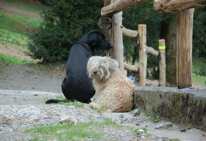 펜션 Les Ecuries De La Sabatarié