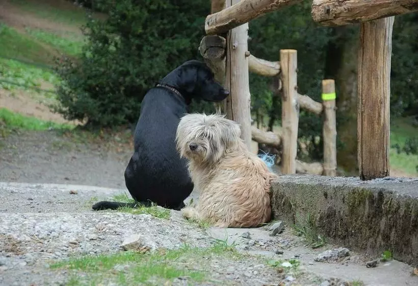 ペンション Les Ecuries De La Sabatarié
