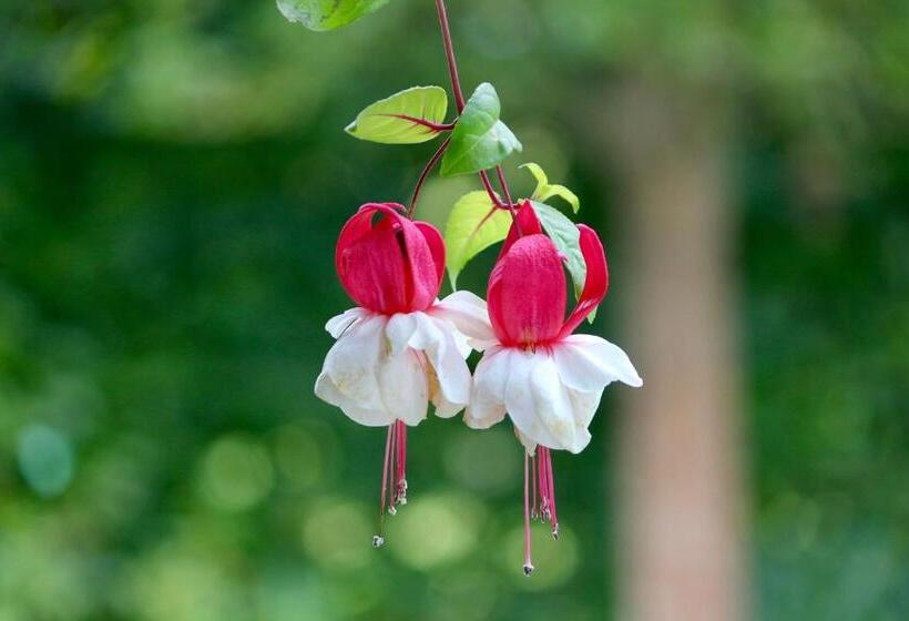Пансион Under Oaks