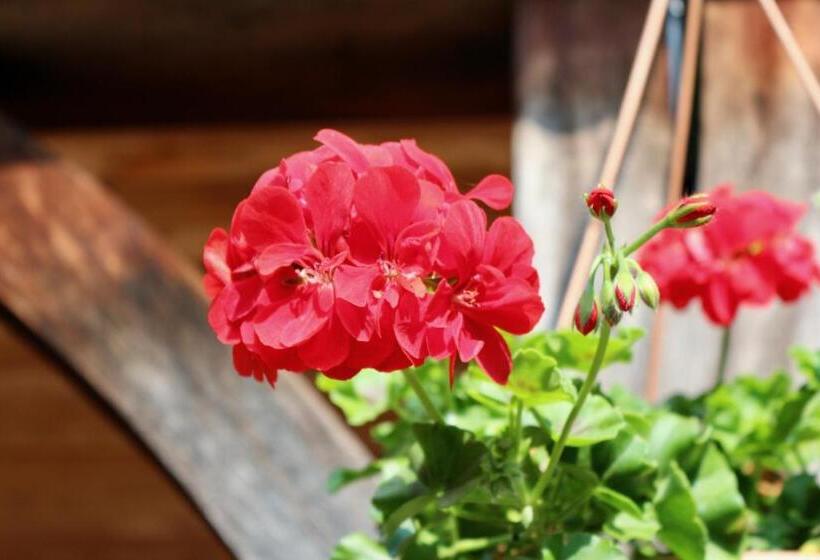 Пансион Under Oaks