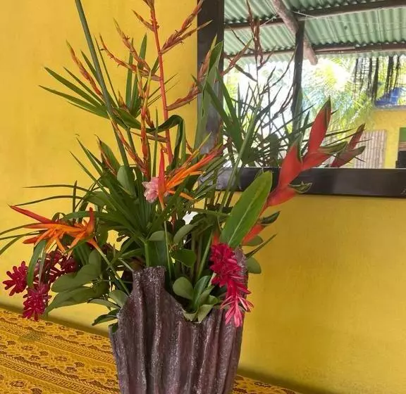 Retkeilymaja Pousada Sol Da Ilha