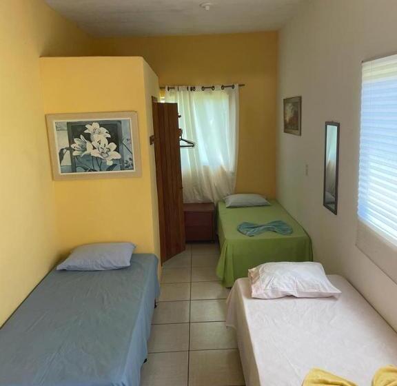 旅馆 Pousada Sol Da Ilha