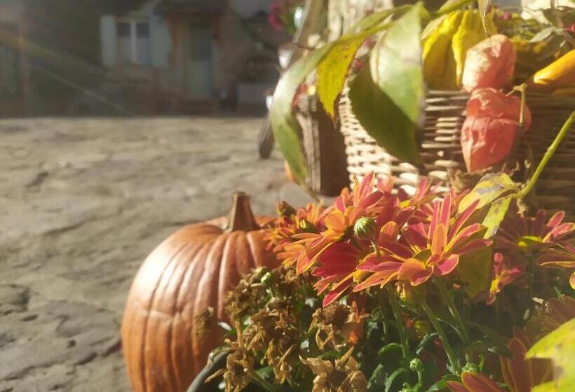 B&b La Corte Dei Cerri  Il Piccolo Chalet