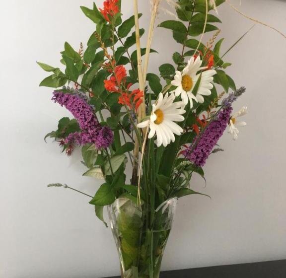 مبيت وإفطار Castlehacket House