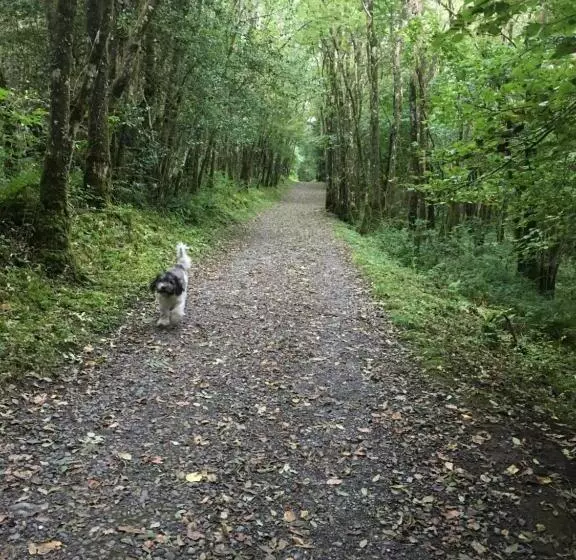 ベッドアンドブレックファースト Castlehacket House