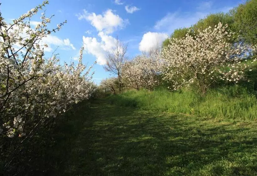 ベッドアンドブレックファースト Chambre D Hotes De Jacobiel