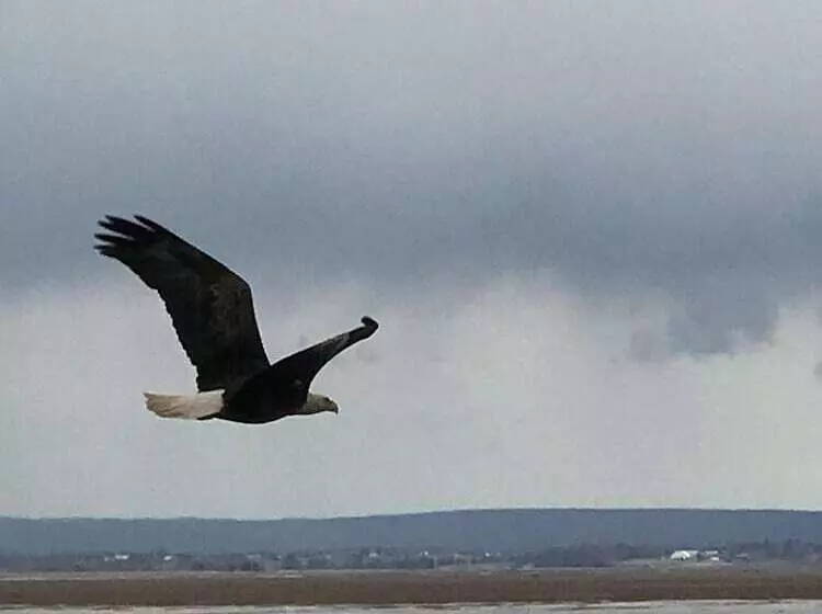 ベッドアンドブレックファースト Cresthaven By The Sea