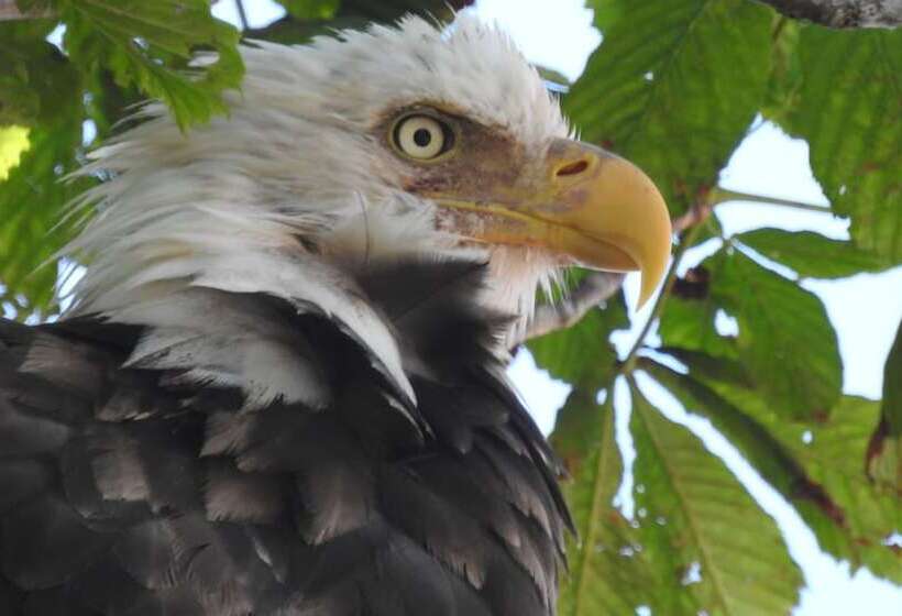 Bed and Breakfast Cresthaven By The Sea