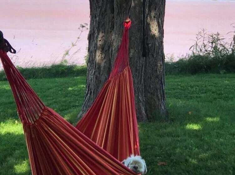 Bed and Breakfast Cresthaven By The Sea