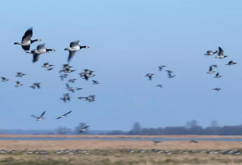 ベッドアンドブレックファースト Grytmanshoeve, Vakantiehuis Met Glamping