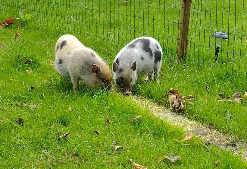 צימר Grytmanshoeve, Vakantiehuis Met Glamping