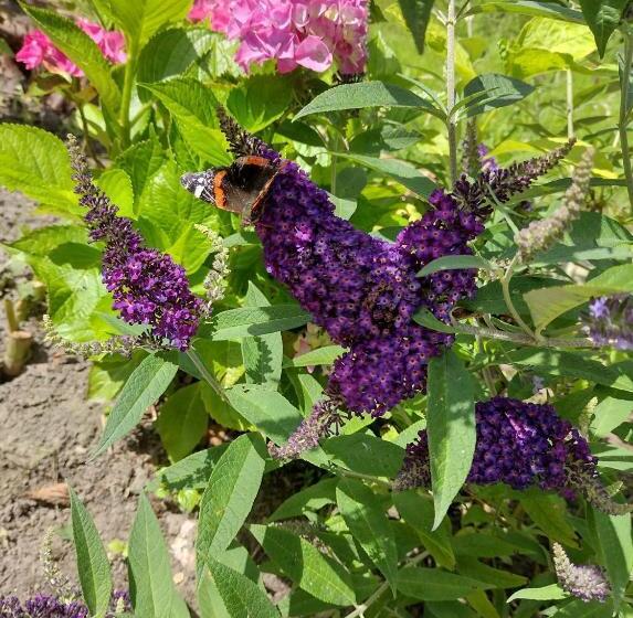 צימר Grytmanshoeve, Vakantiehuis Met Glamping