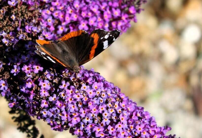 צימר Grytmanshoeve, Vakantiehuis Met Glamping