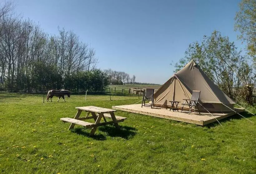 ベッドアンドブレックファースト Grytmanshoeve, Vakantiehuis Met Glamping