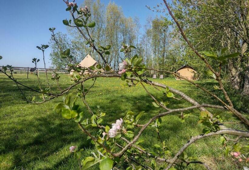 צימר Grytmanshoeve, Vakantiehuis Met Glamping