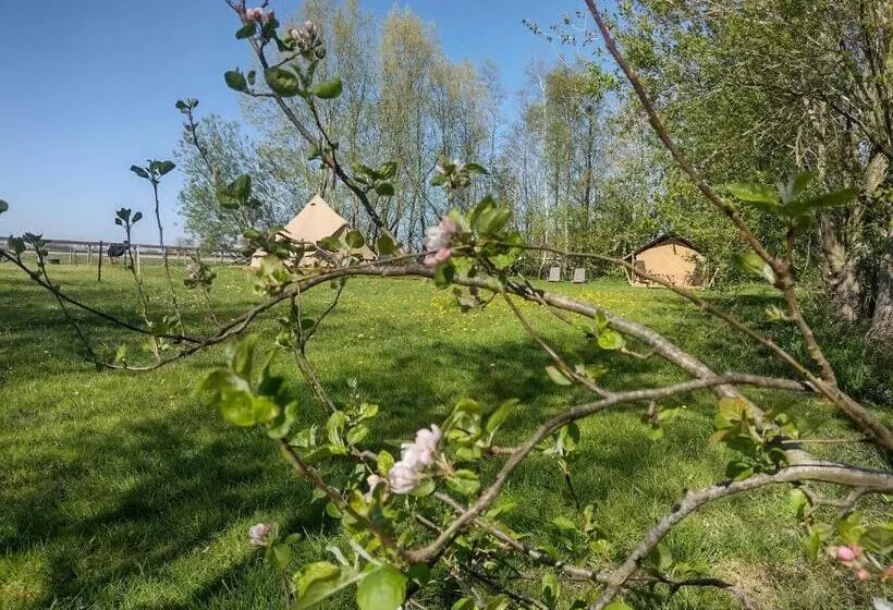 ベッドアンドブレックファースト Grytmanshoeve, Vakantiehuis Met Glamping