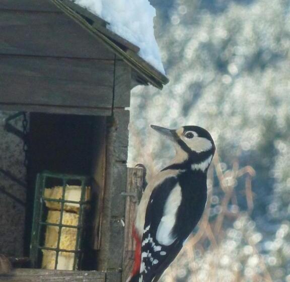 민박 La Fritillaire