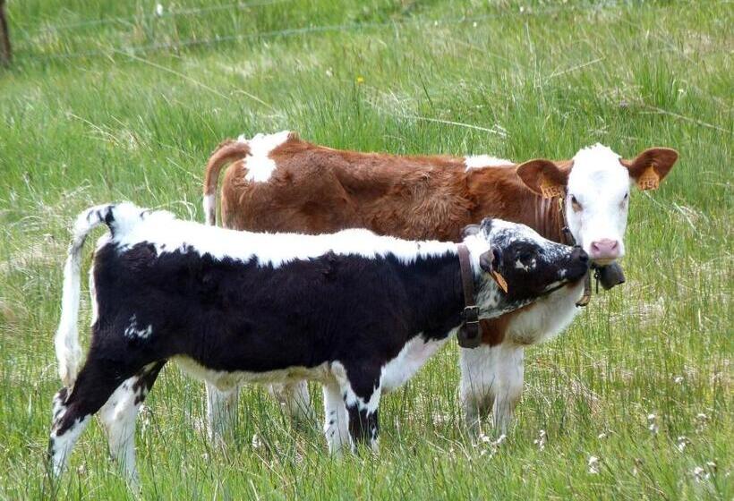 민박 La Fritillaire