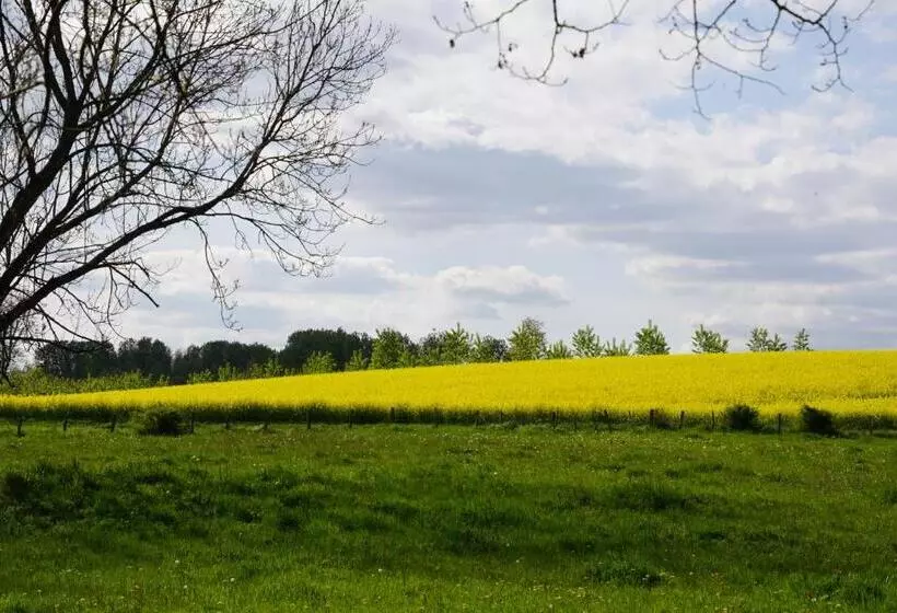 Aamiaismajoitus (B&B) La Grange De Félicie