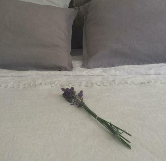 مبيت وإفطار La Vigne