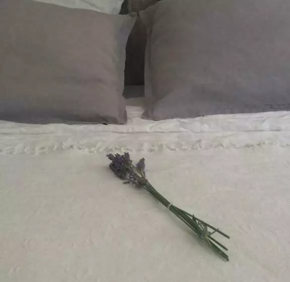 ベッドアンドブレックファースト La Vigne