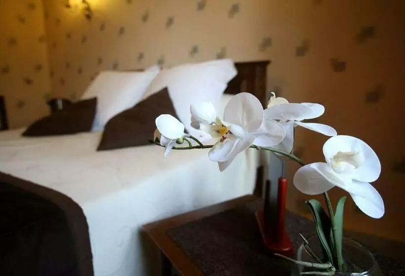 Aamiaismajoitus (B&B) Le Robinson