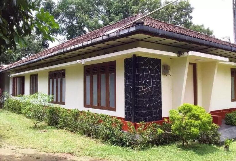 ベッドアンドブレックファースト Midland Hotel Rooms Kanampella